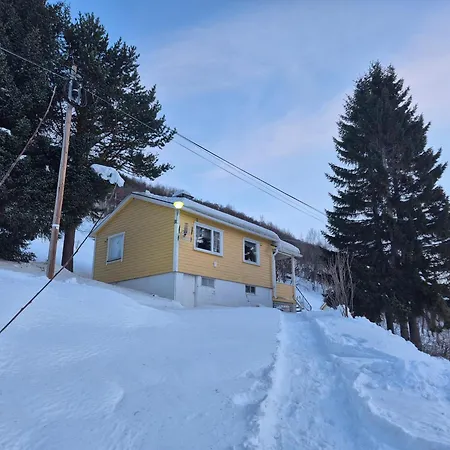 Sjarmerende 50-tallshus Med Utsikt Og Ro * Olderdalen