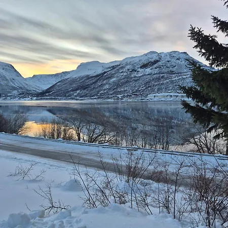 Sjarmerende 50-tallshus Med Utsikt Og Ro 度假居 Olderdalen