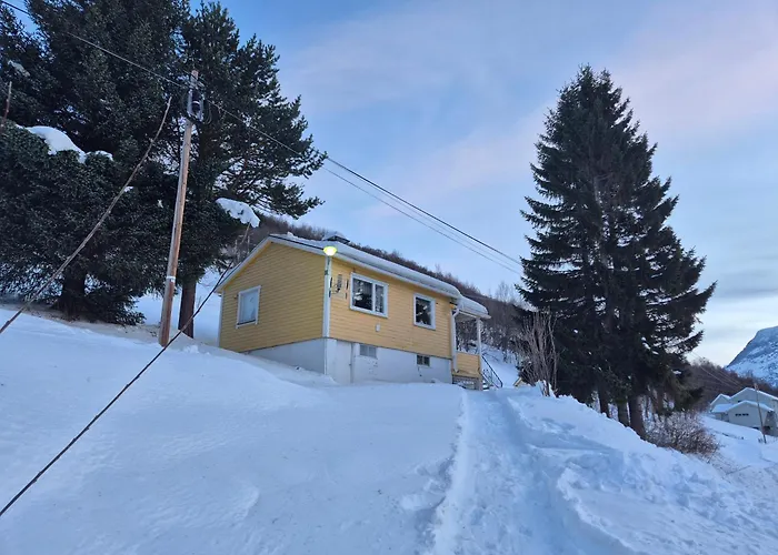 Sjarmerende 50-tallshus Med Utsikt Og Ro * Olderdalen